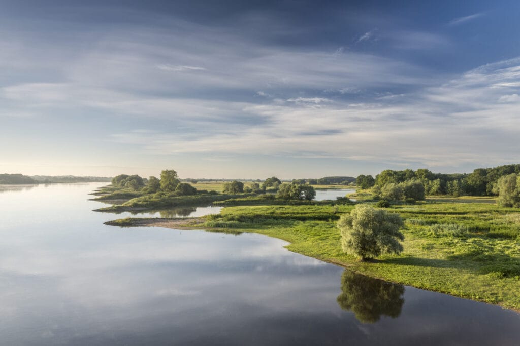 Elbe