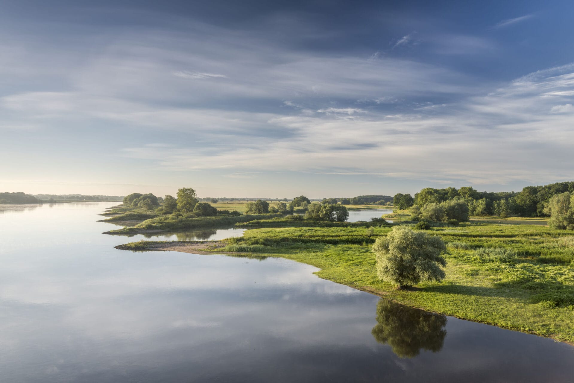 Elbe