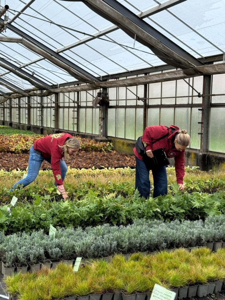 Die ersten Pflanzen für die Landesgartenschau Wittenberge 2027 sind angekommen.