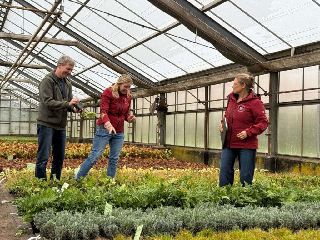 Die ersten Pflanzen für die Landesgartenschau Wittenberge 2027 sind angekommen.