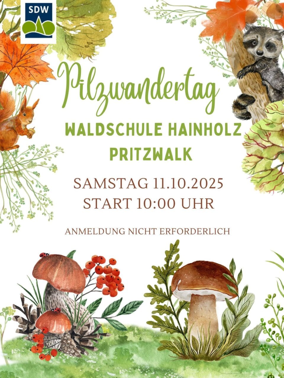 Pitzwandertag