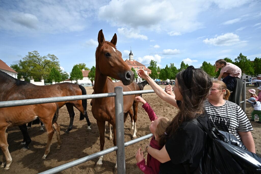 Foto: Bjrön Schroeder
