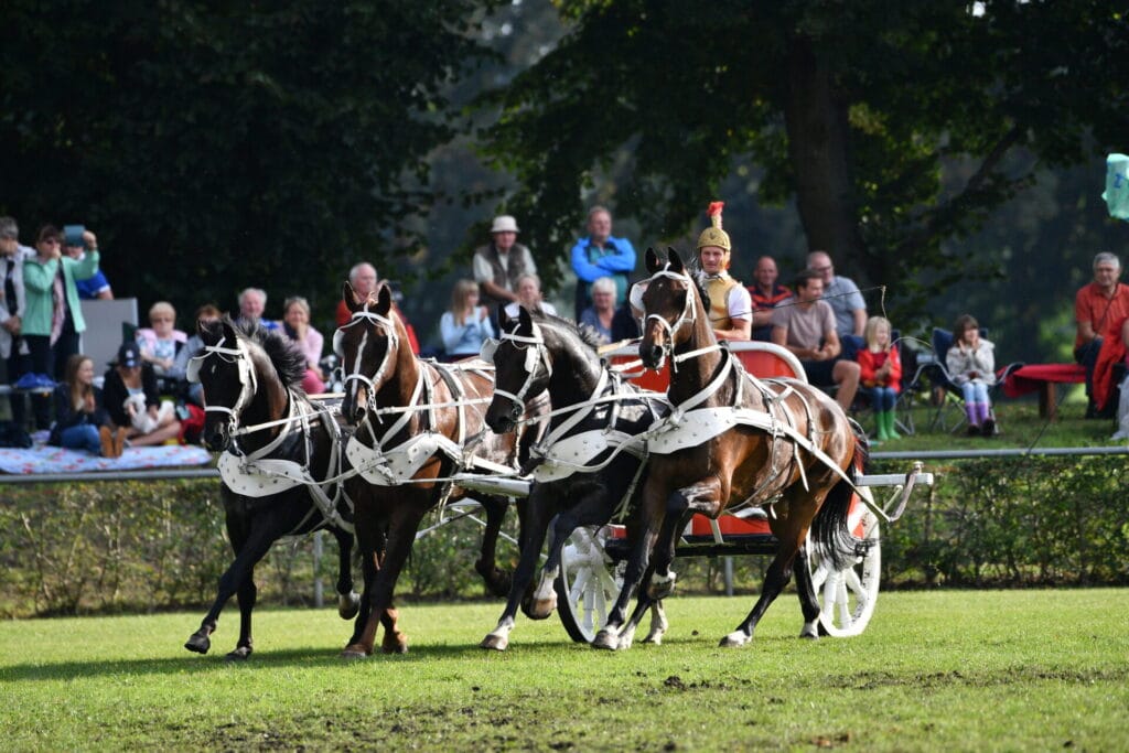 Foto: Björn Schroeder