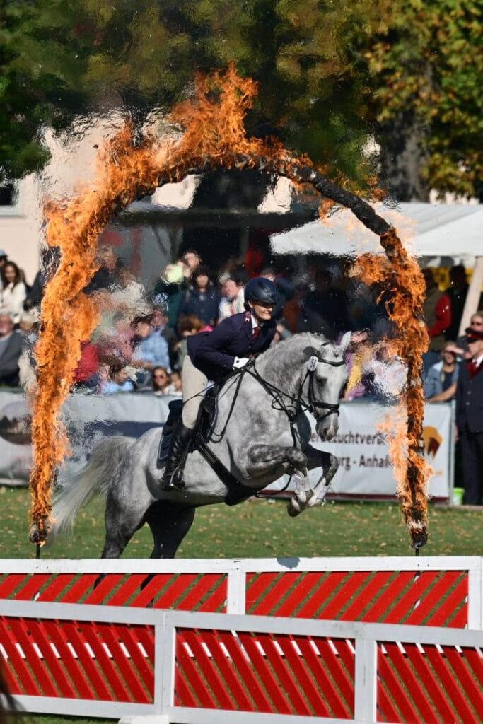 Foto: Björn Schroeder