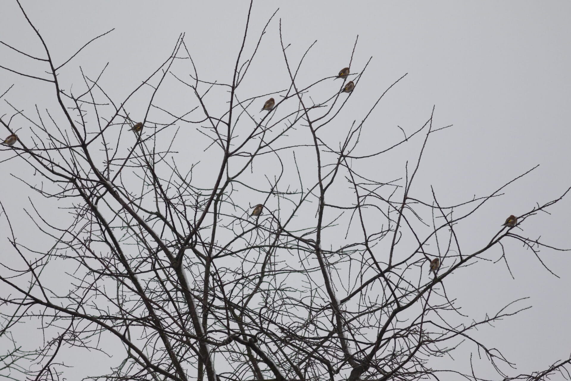 Foto: Jonathan Kunkel