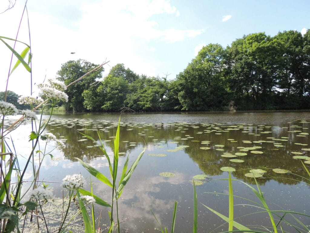 Löcknitz nahe Seedorf