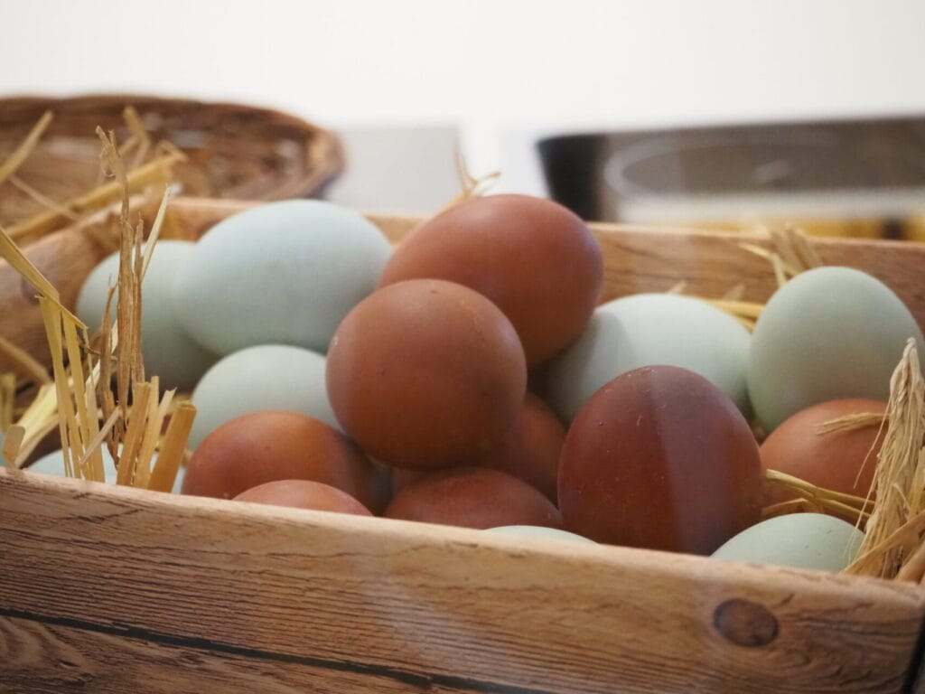 Foto: Monique Bessert