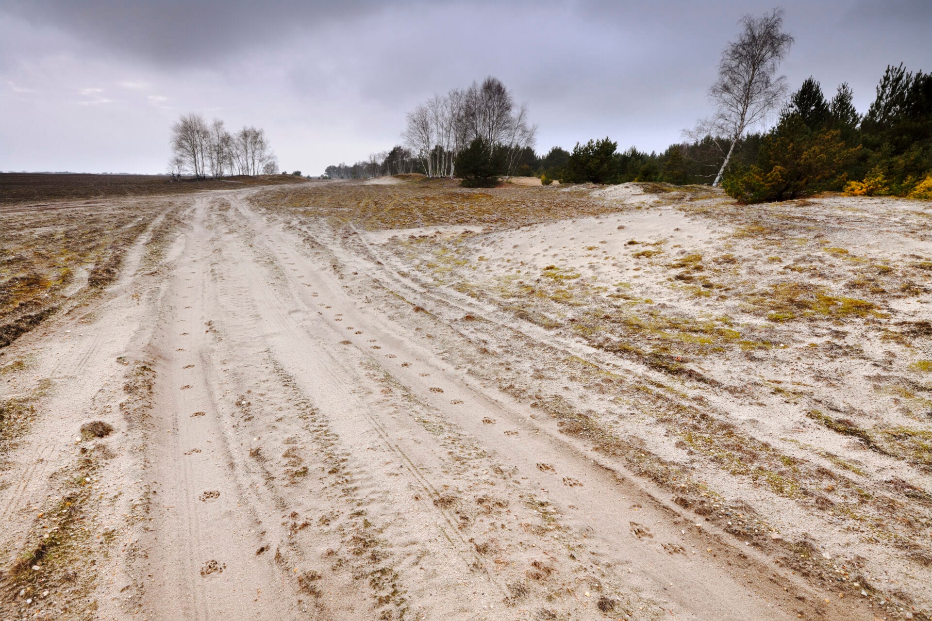 Foto: Sebastian Hennigs