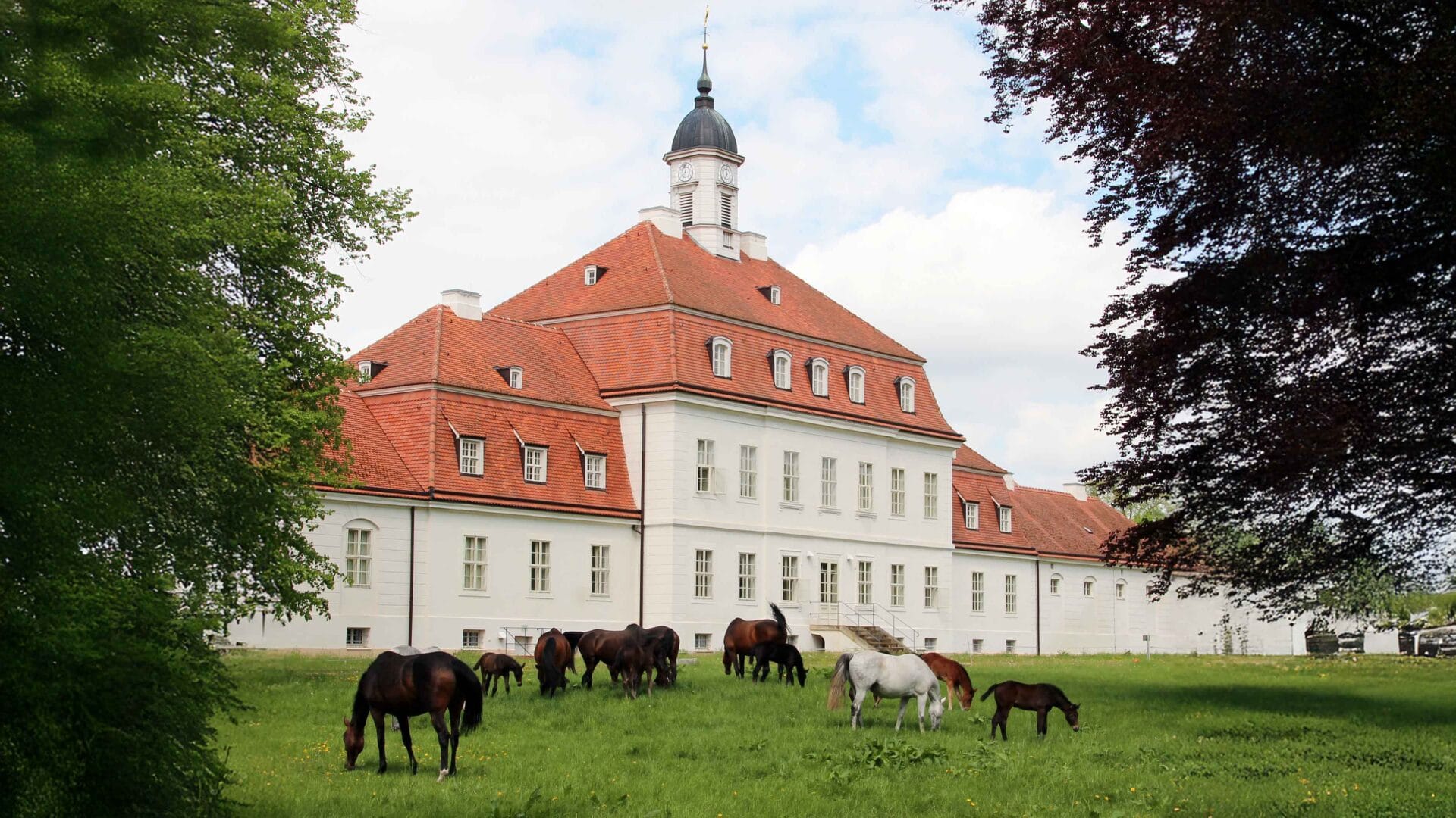 Foto: Brandenburgisches Haupt- und Landgestüt Neustadt (Dosse)