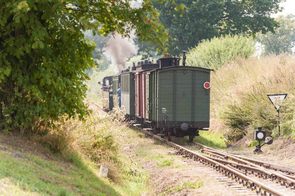 Foto: Markus Tiemann