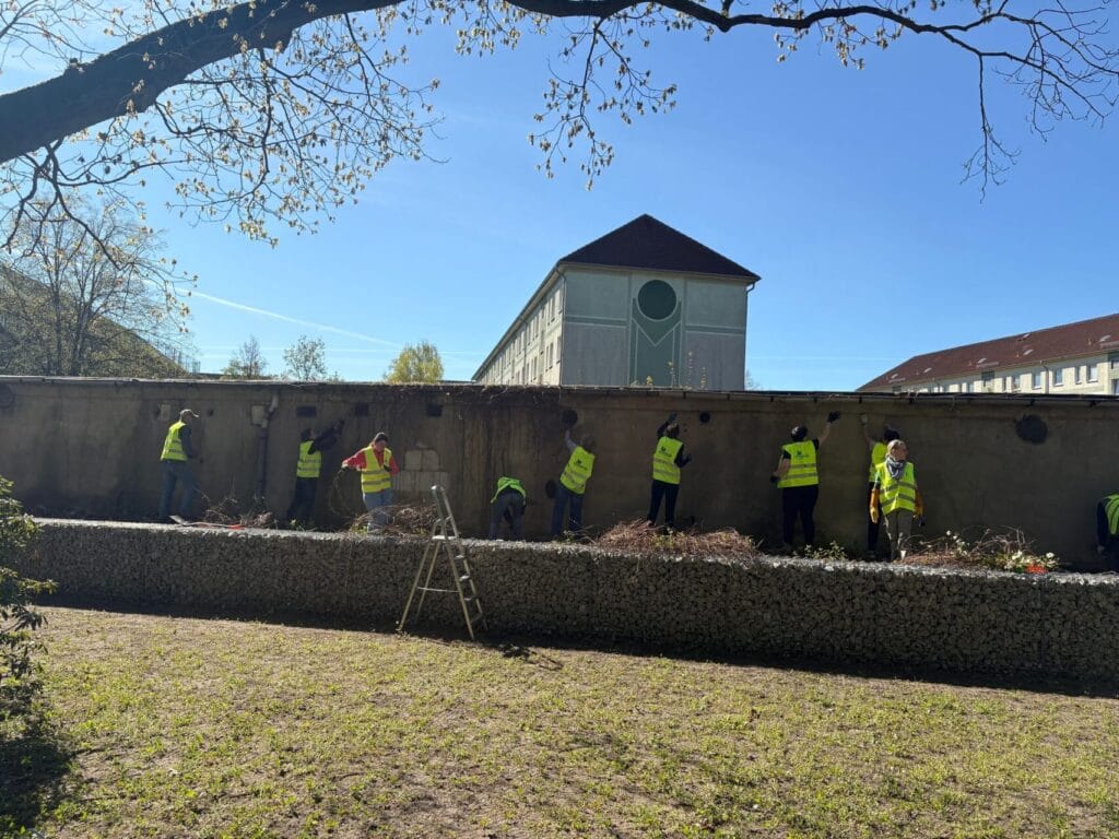 Ehrenamt bei der Landesgartenschau Wittenberge: Streichaktion am Modellblock