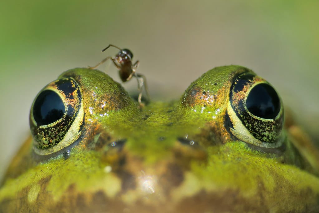 Foto: Gerwin Bärecke