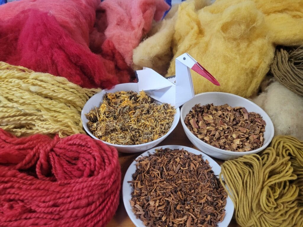 Pflanzliches Färbematerial und mit Pflanzen gefärbte Wolle.