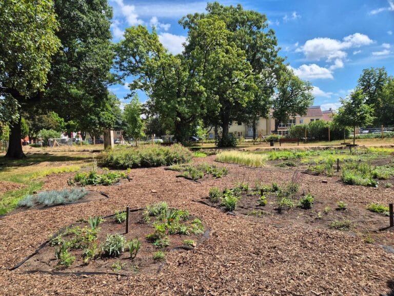 Erste Beetpflege am Prignitzbeet auf der Landesgartenschau Wittenberge