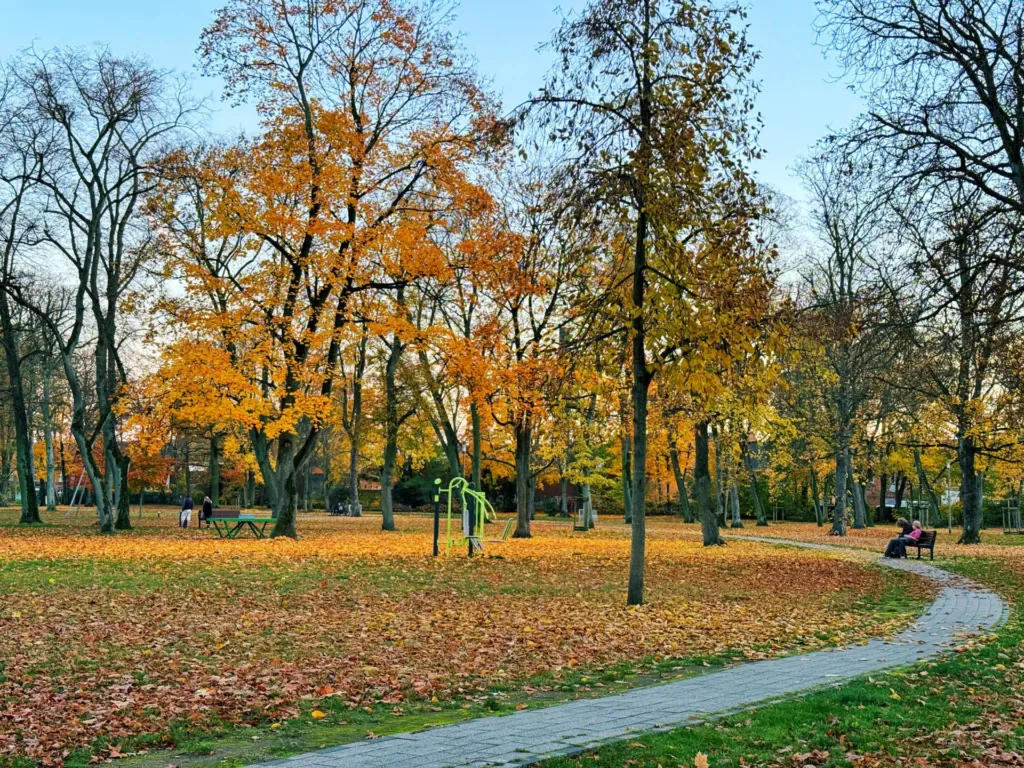 Bauarbeiten am Modellquartier und im Clara-Zetkin-Park