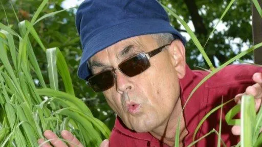 Manfred Fock