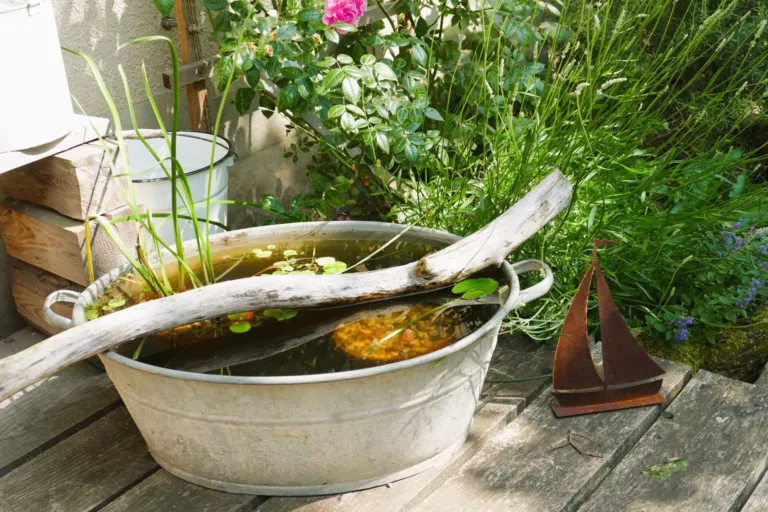 Zinkwanne Im Garten